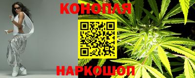 шишки Севастополь